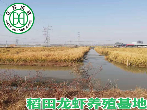 塘口養殖基地